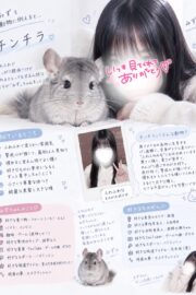 🔰みず