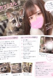 🌟るる