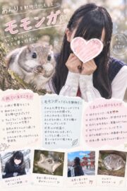 🌟あんり