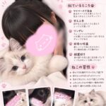 初めまして！こころです🐱🎀