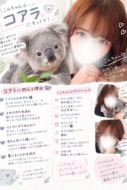 🌟こん