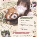 お久しぶりです、はなです🌷